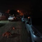 El lugar donde encontraron los cuerpos está en una vía de tercer orden, muy alejado de la ciudad.