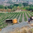 Manabí: Accidente de tránsito deja tres fallecidos en San Isidro