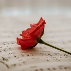 Muchas personas se reflejan en los temas que escuchan.