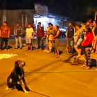 El perrito tuvo que ser amarrado para alejarlo y poder retirar el cadáver.