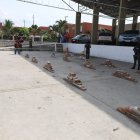 En lo que va del año se han decomisado 9 toneladas de droga en varios puertos del Ecuador.