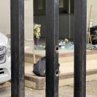 En las rejas del exterior de la morgue quedaron las huellas de los balazos.