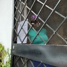 Dominga está preparada para darles su ‘tate quieto’ a los ‘vacunadores’. En la puerta de su casa dejaron esta hoja.