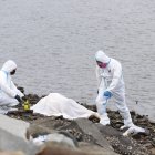 El cuerpo estaba en la orilla del estero. Moradores dicen que lo vieron flotan metros más adelante.
