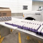 Los últimos tres meses ha habido mayor cantidad de incautaciones de este alimento.