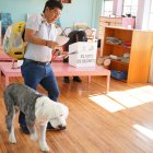 Jorge Yunda acudió a sufragar con sus mascotas en San Roque.