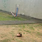 La cabeza fue hallada en un parque, cerca de un área de juegos.