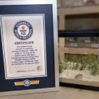 Esta especie es esencial, pues dispersa la semillas de plantas de su hábitat.