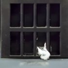 La pieza es capaz de derretirse y volver a incorporarse.