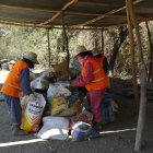 Los trabajadores municipales se dieron la sorpresa de su vida al abrir una bolsa en la cual había un 'mate' humano.