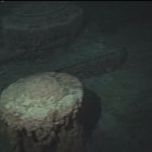 Esta sería la primera filmación luego del naufragio.