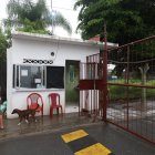 Los delincuentes habrían asesinado a la mujer por robarle el celular.