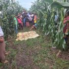 Con una sábana cubrieron el cuerpo de la Popis, quien murió macheteada.