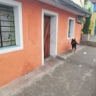 Condiciones en que Bienestar Animal encontró al perro.