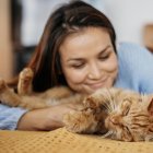 Por su carácter, muchas veces difícil y algo especial, es mejor tomar precauciones para una mejor convivencia.