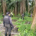 Los dos cuerpos presentaban heridas de balazos.