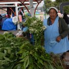 Jéssica Maila enseña a sus hijos y sobrinos sobre las propiedades de las hierbas.