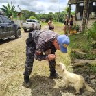 Los animalitos también reciben su dosis de cariño.