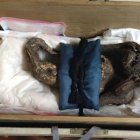 La figurilla 
está hecha con algodón, adornada con espinas y piel 
de pez.