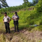 Los cuerpos fueron hallados entre los matorrales.