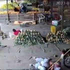 Al cargador de frutas lo sorprendieron cuando conversaba en el mercado.