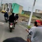 Los antisociales se grabaron y luego difundieron los vídeos.