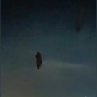 Esta es la imagen que el hombre observó en la carretera.