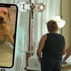 María Fernanda Ganchozo (de espaldas) y su progenitora contemplaban con tristeza el féretro donde reposa la menor de las niñas. Príncipe, aunque presentó malestar, sobrevivió al tóxico. Murió la otra mascota, 
un lorito.