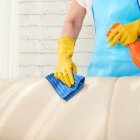 Close-up image of housewife using detergent to clean leather sofa