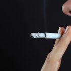 Expertos llevan 40 años investigando los efectos de la nicotina y del tabaco