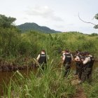 Un cuerpo en descomposición fue hallado en Socio Vivienda 2.