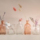 Escoge el diseño que más te guste y dale vida a tu hogar.