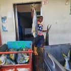 Tras la matanza, las actividades han disminuido en el Puerto Pesquero Artesanal de Esmeraldas.