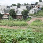 Las cabezas fueron encontradas en una zona llega de maleza, junto a una colina.