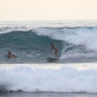 Fanny ha hecho carrera en el surf de la categoría longboard donde ya ha obtenido 5 títulos nacionales en seguidilla.