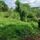 El cuerpo del presunto asaltante fue sacado de entre los montes y llevado a la morgue.