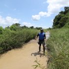 Fueron hallados el jueves en este sector porteño. Policía retiró los restos.