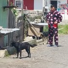 En esta calle se registró el ahorcamiento del perrito Martín luego de que mordiera a un chancho grande.