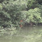 Se reportó fuego en las orillas del estero Salado.