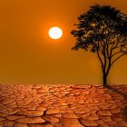 La humanidad vivirá temperaturas nunca antes registradas durante 5 años.