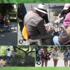 Estas imágenes resumen las actividades que realizan los capitalinos en un domingo.