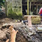 María Bravo recorre con su hijo en brazos el sitio donde el deslizamiento de tierra ha dañado parte de su casa en el cantón Muisne.