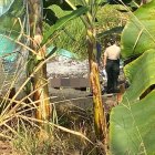 En una vía del tercer orden fueron hallados algunos cadáveres.