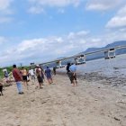 Está clase de hechos serían asociados a una especie de mensajes que se dan entre organizaciones.