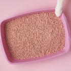 Si no quieres que tu casa se impregne de mal olor, debes limpiar el arenero a diario.