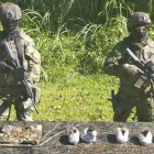 Militares exhiben el hallazgo de material bélico ilegal