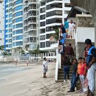 Comerciantes y bañistas observaron con asombro la aparición del cocodrilo.