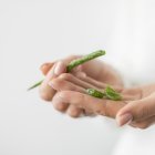 Esta planta ayuda a evitar arrugas y la resequedad.