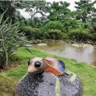 Escultura de anfibio en el Jardín botánico de Guayaquil