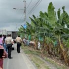 Los restos en descomposición estaban en varias fundas de basura.